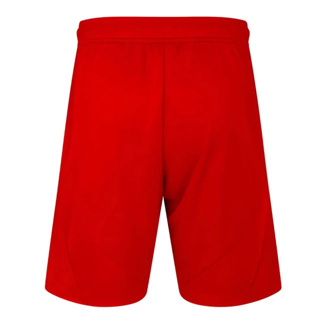 2024-2025 Away Shorts by Fulham (Unisex