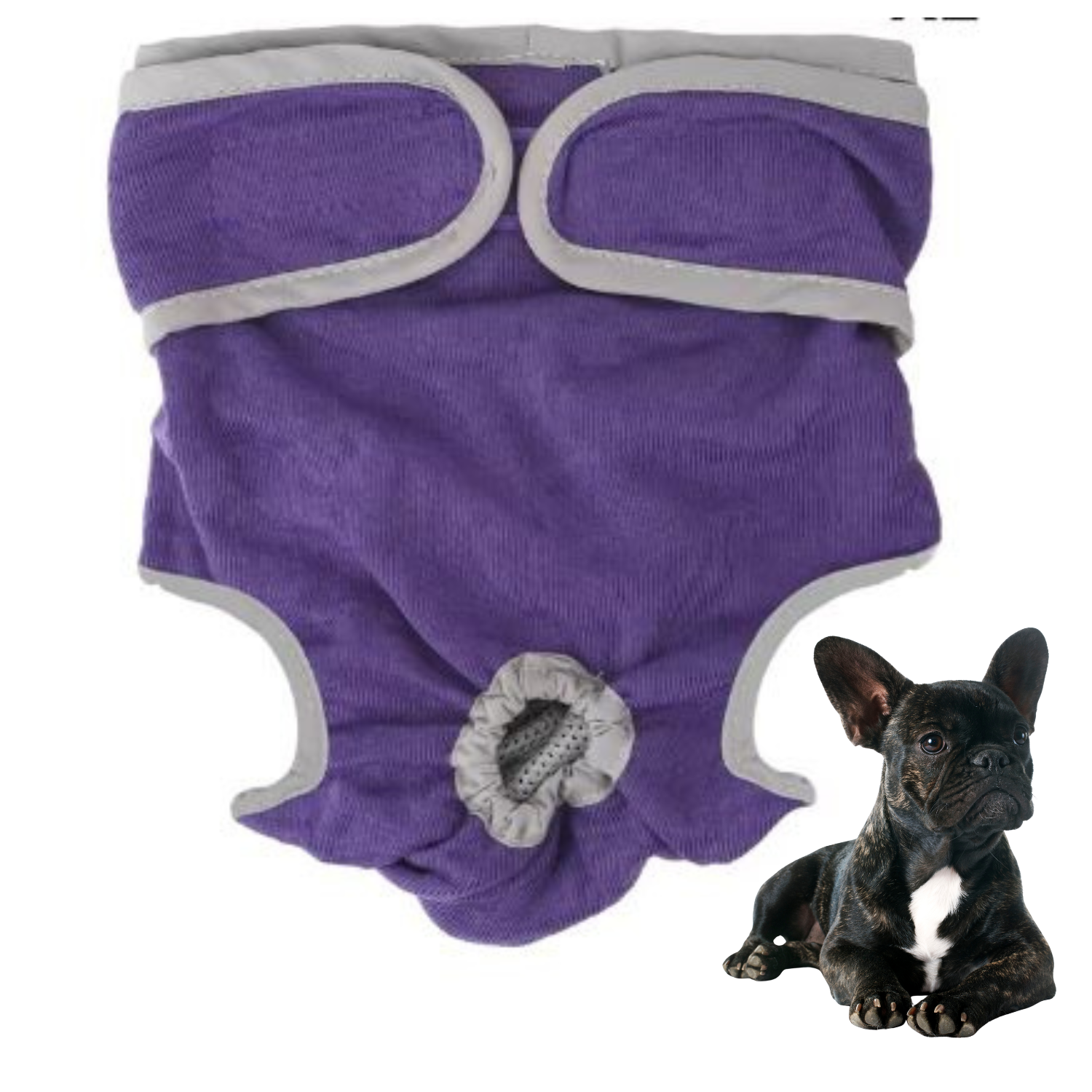 - French Bulldog French Bulldog Shorts Diaper Winter Wear | Comfort Fit