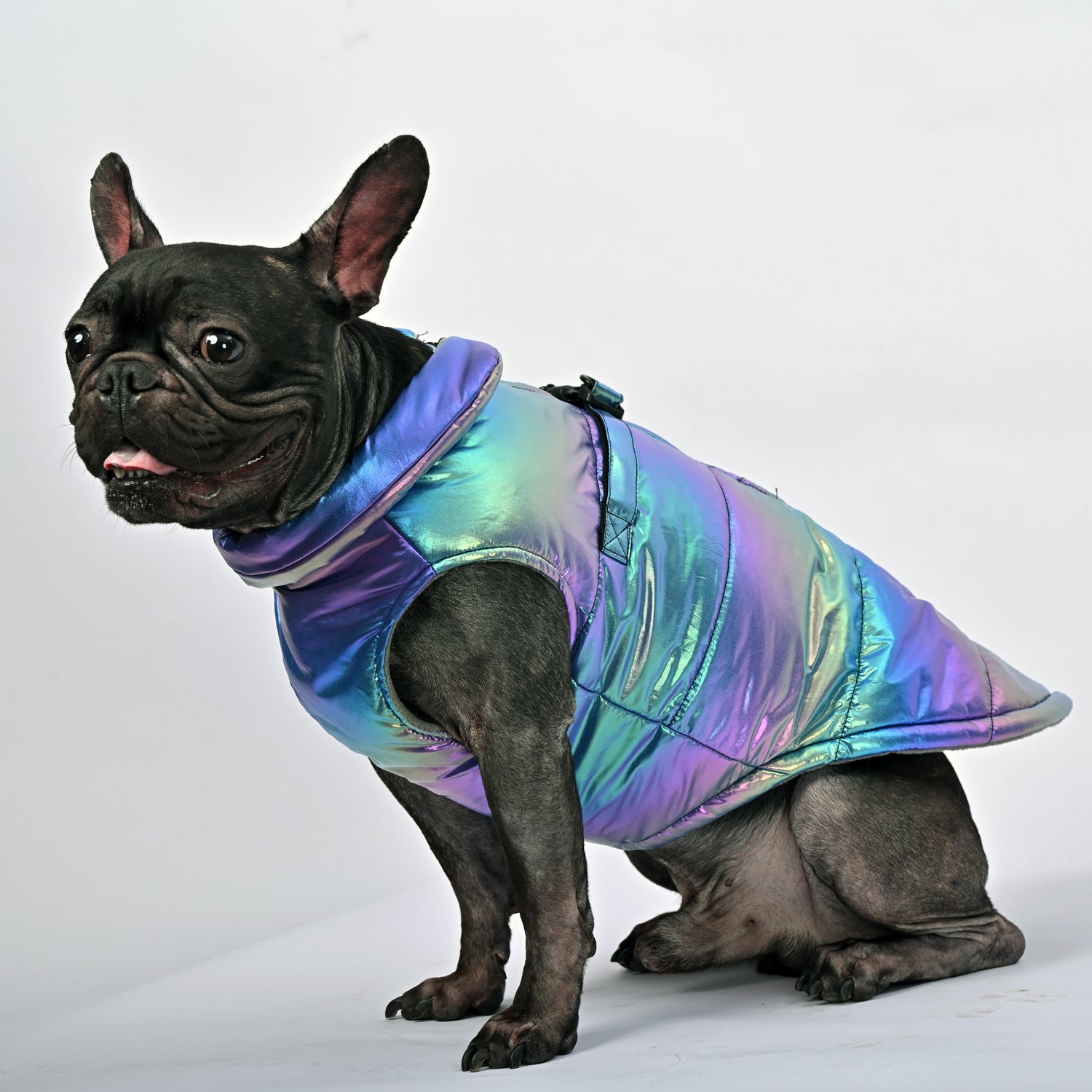 French Bulldog Snow Shield Frenchie Reflective Winter Warm Jacket V1 Warm Dog Outfit
