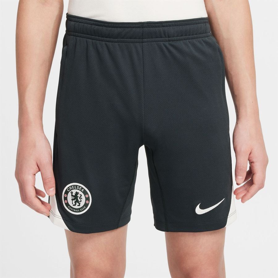 Chelsea Training Shorts Dri Fit Strike Outdoor Green/outdoor Green/pha