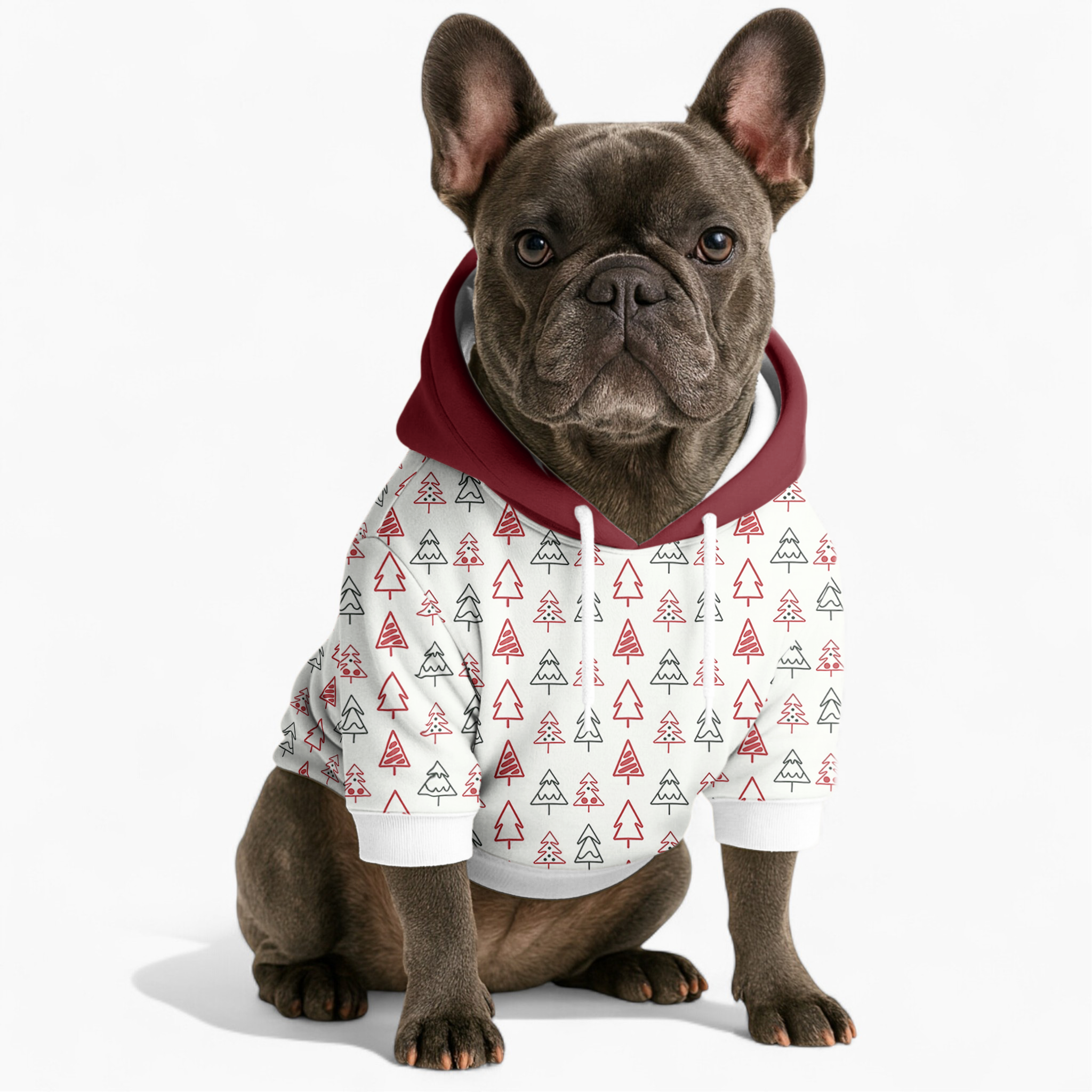 Rocky - Frenchie hoodie