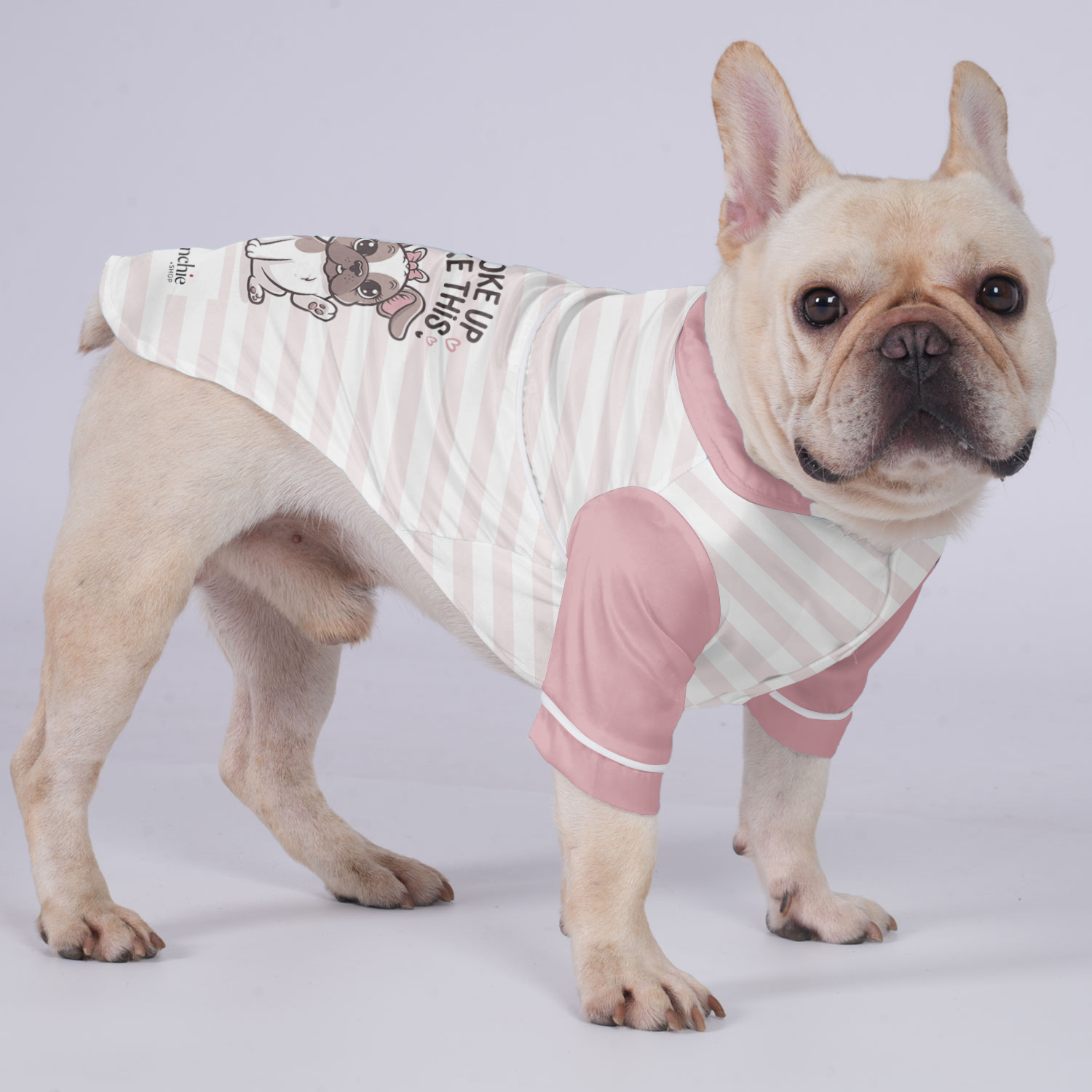 Pajamas For French Bulldog For French Bulldogs | Vet-recommended