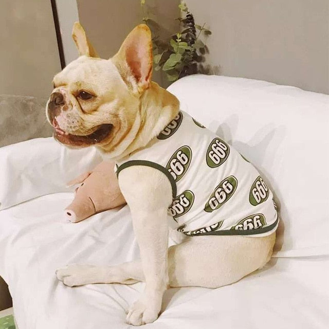 Fashion-Forward Stylish Summer Clothing For French Bulldog for Home Use