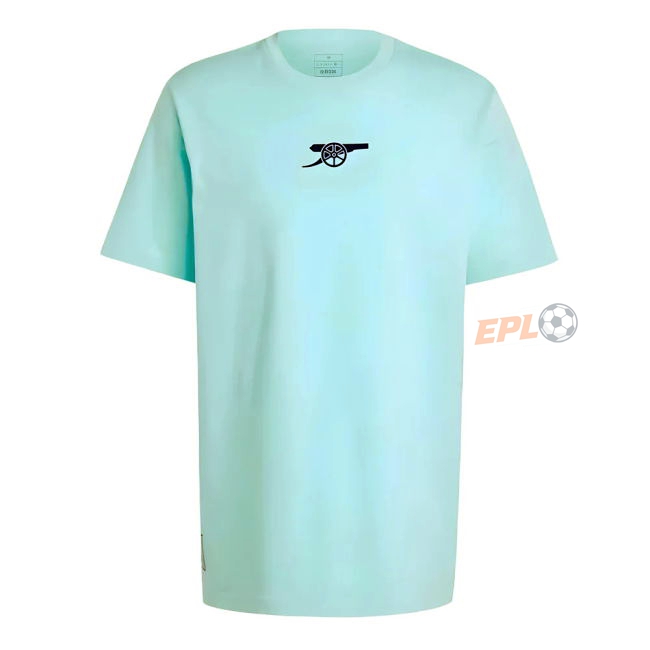 ARS 2024-20 budget-friendly Third Jersey - Adults | original