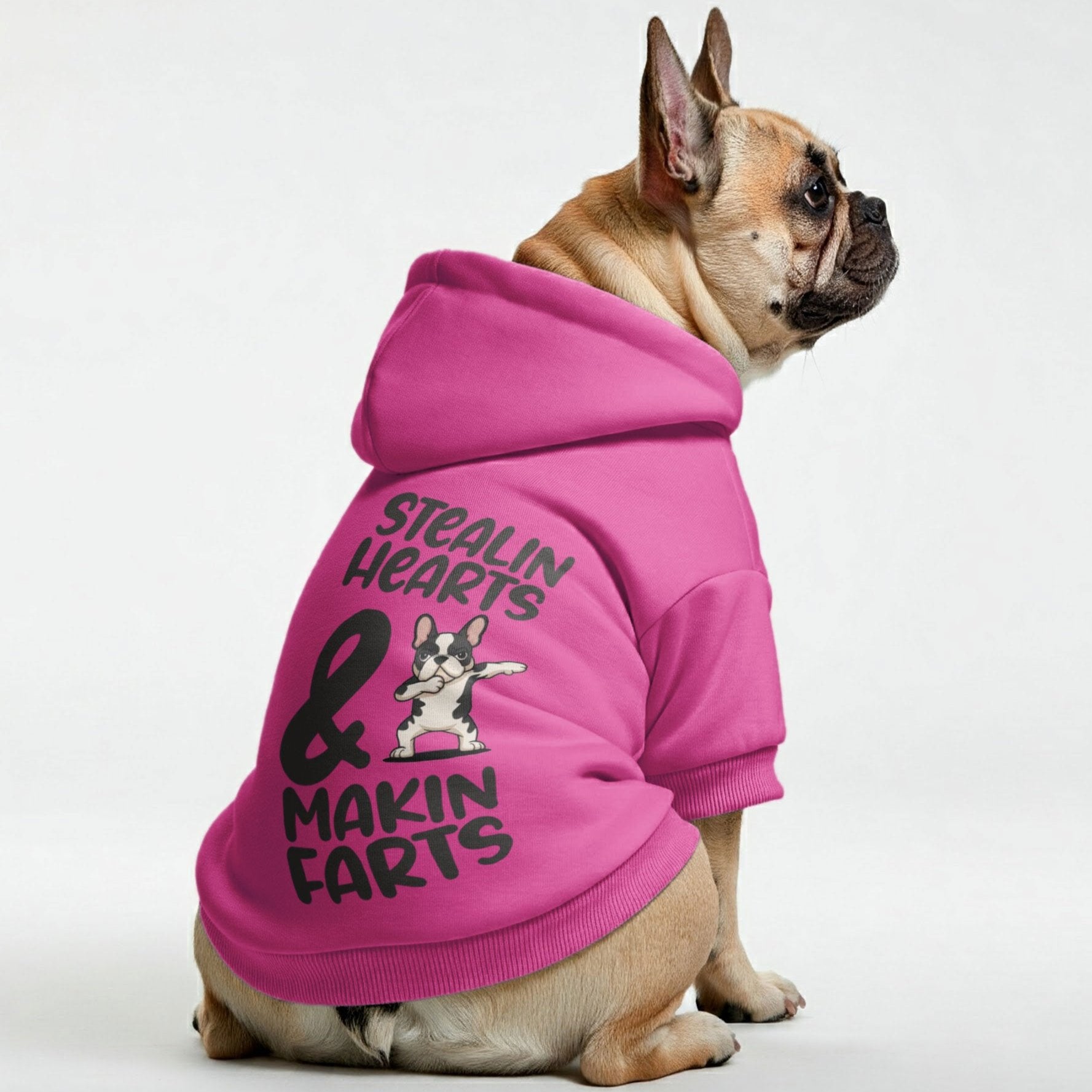 Trendy Makin Farts - Personalized French Bulldog Hoodies With Funny Q...