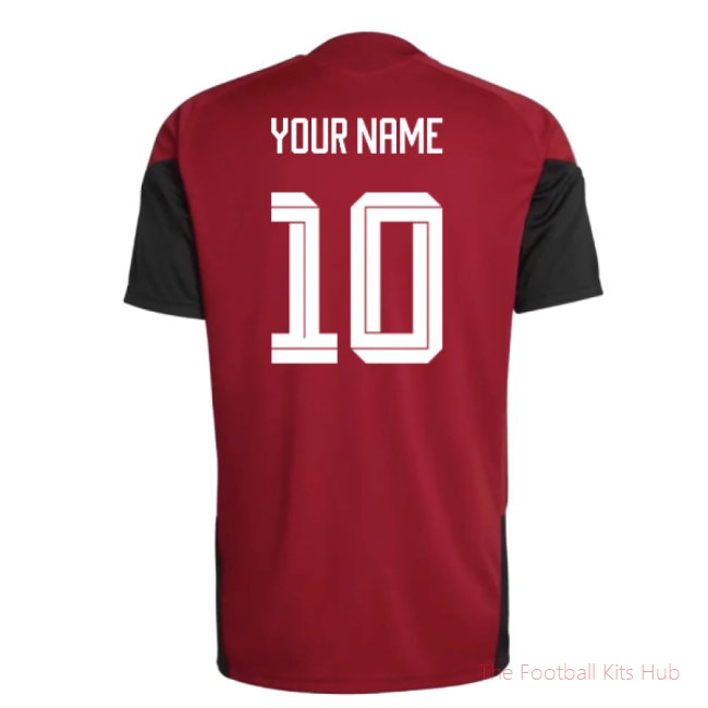 2026-2027 Germany Training Jersey (Red) (Your Name)
