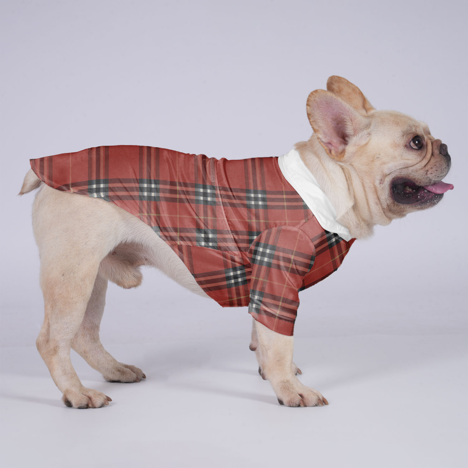 Durable Everyday Bella - Hawaiian Shirt For Frenchies for Casual Outings