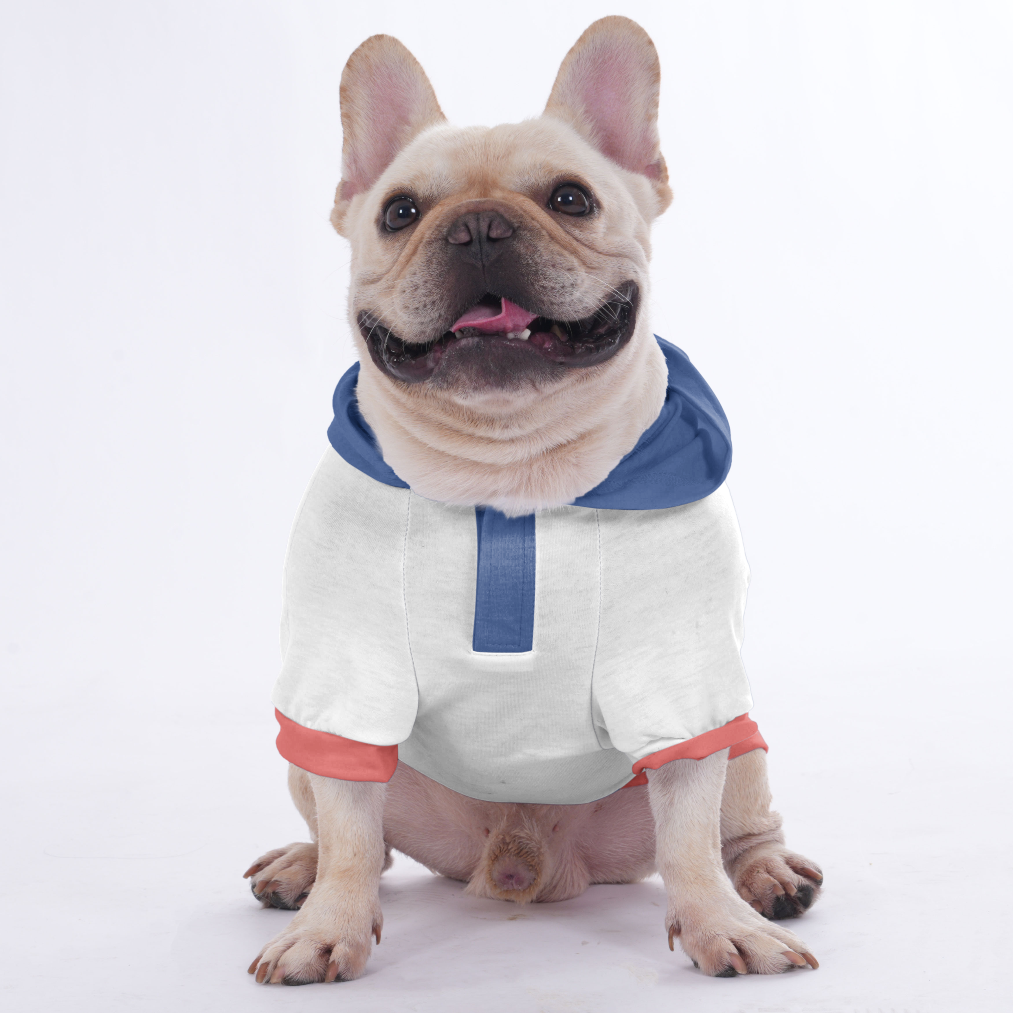 Culture-Inspired Petey - Hoodies For French Bulldog | Frenchie Shop O...