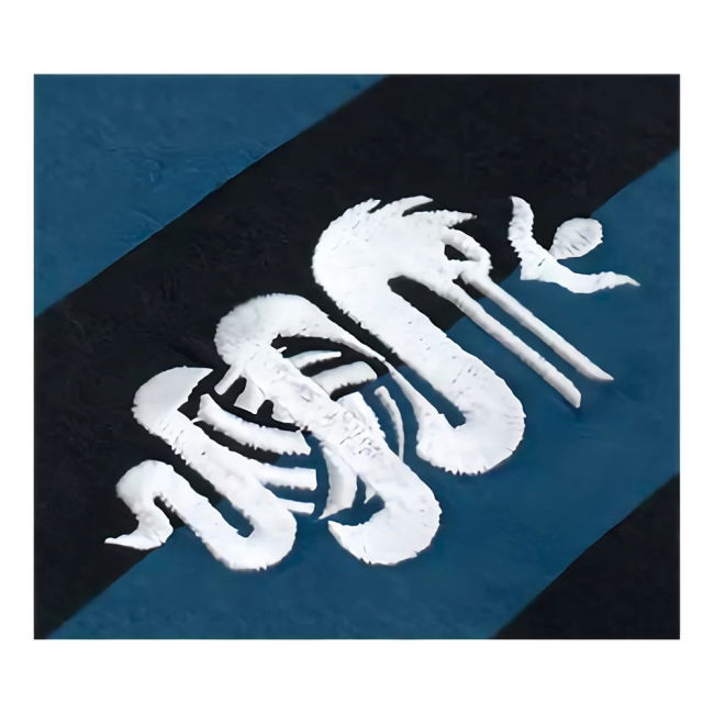 Inter Milan Official 2025-2026 Home Shirt | Competitive Price