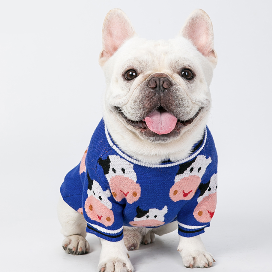 Winter Sweater for French Bulldog (WS301)