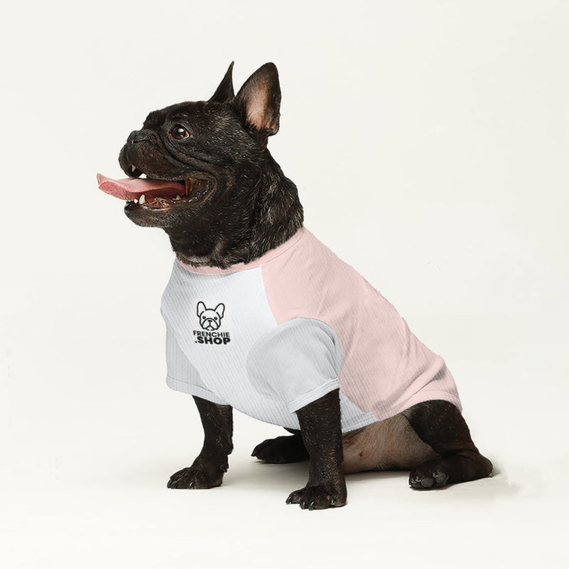 Fashion-Forward Trendy Rollo - Wool Sweater For Frenchies for Daily Life
