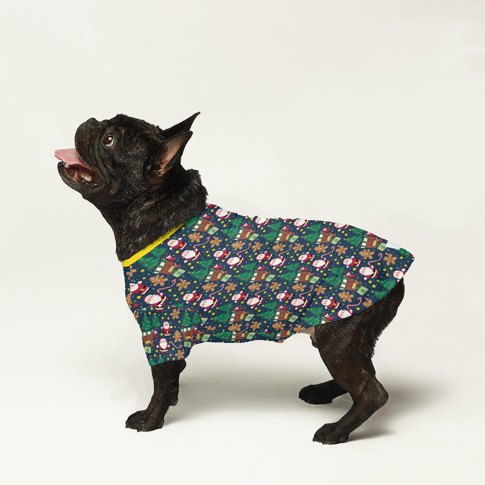 French Bulldog Buster Wool Sweater For Frenchies Durable Dog Clothes
