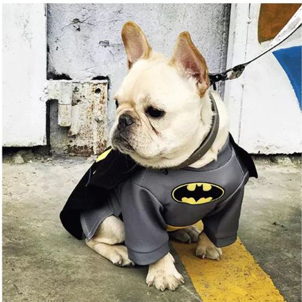 Comfortable French Bulldog Batfrenchie Cosplay Clothes as a Gift Premium
