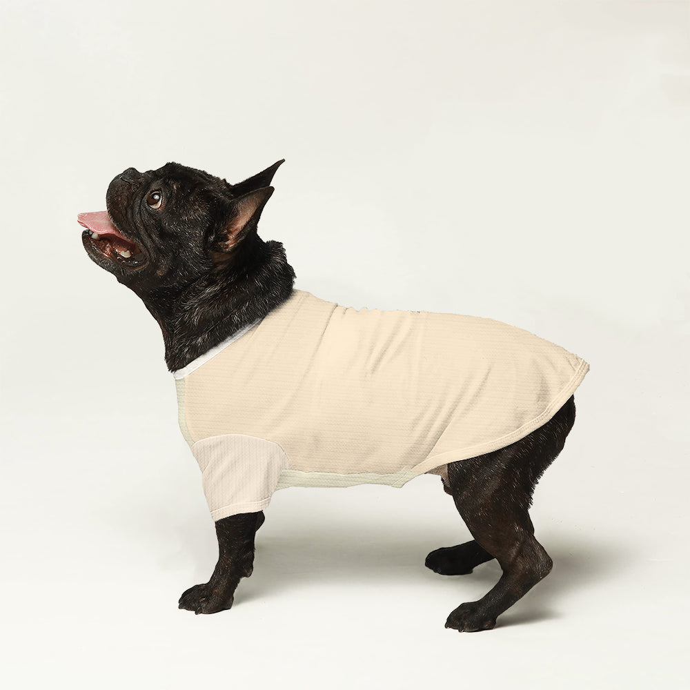 Comfortable Jude - Wool Sweater For Frenchies for Street Style Durable