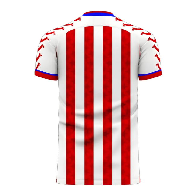 Professional Paraguay 2025-2026 Home Concept Football Kit (Viper) -