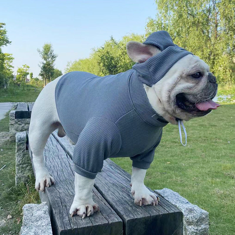 Cozy French Bulldog Waffle Sweater With Hat – Stretchy Bottoming Clot...