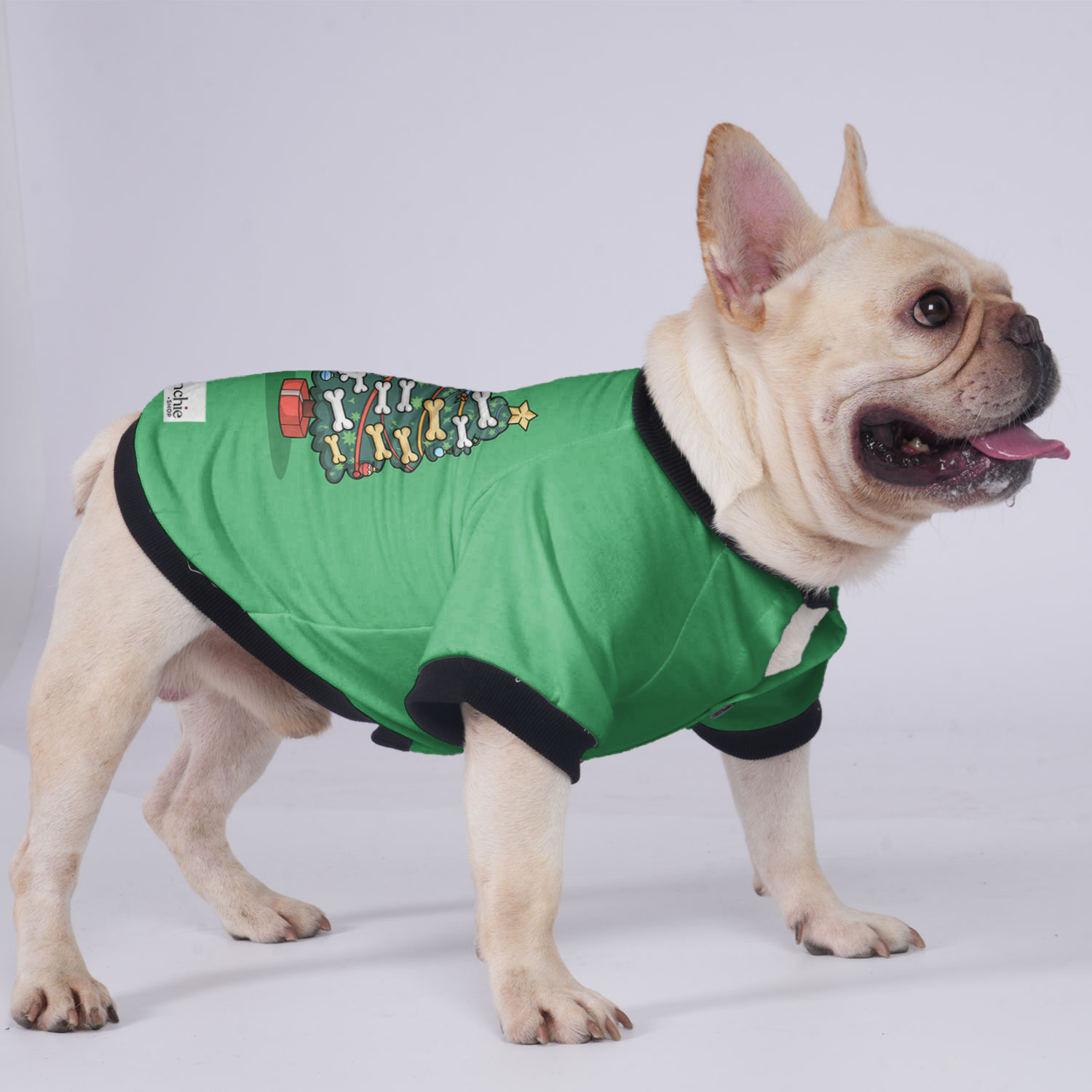 Daisy - Breed-specific Jacket For French Bulldog Summer Wear