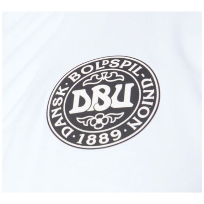 Denmark Updated Jersey 2024-2025