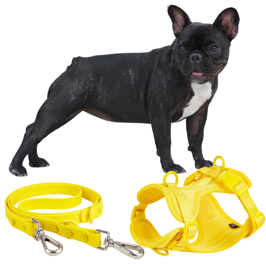 French Bulldog Frenchie Quick Release Harness Leash Set Practical Dog Gear