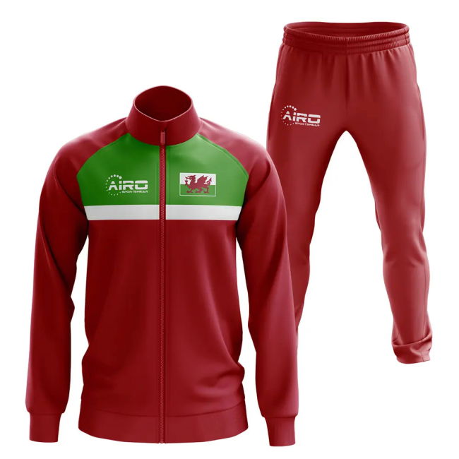 Match Worn Style Wales Concept Pro Level Shirt 2025-2026