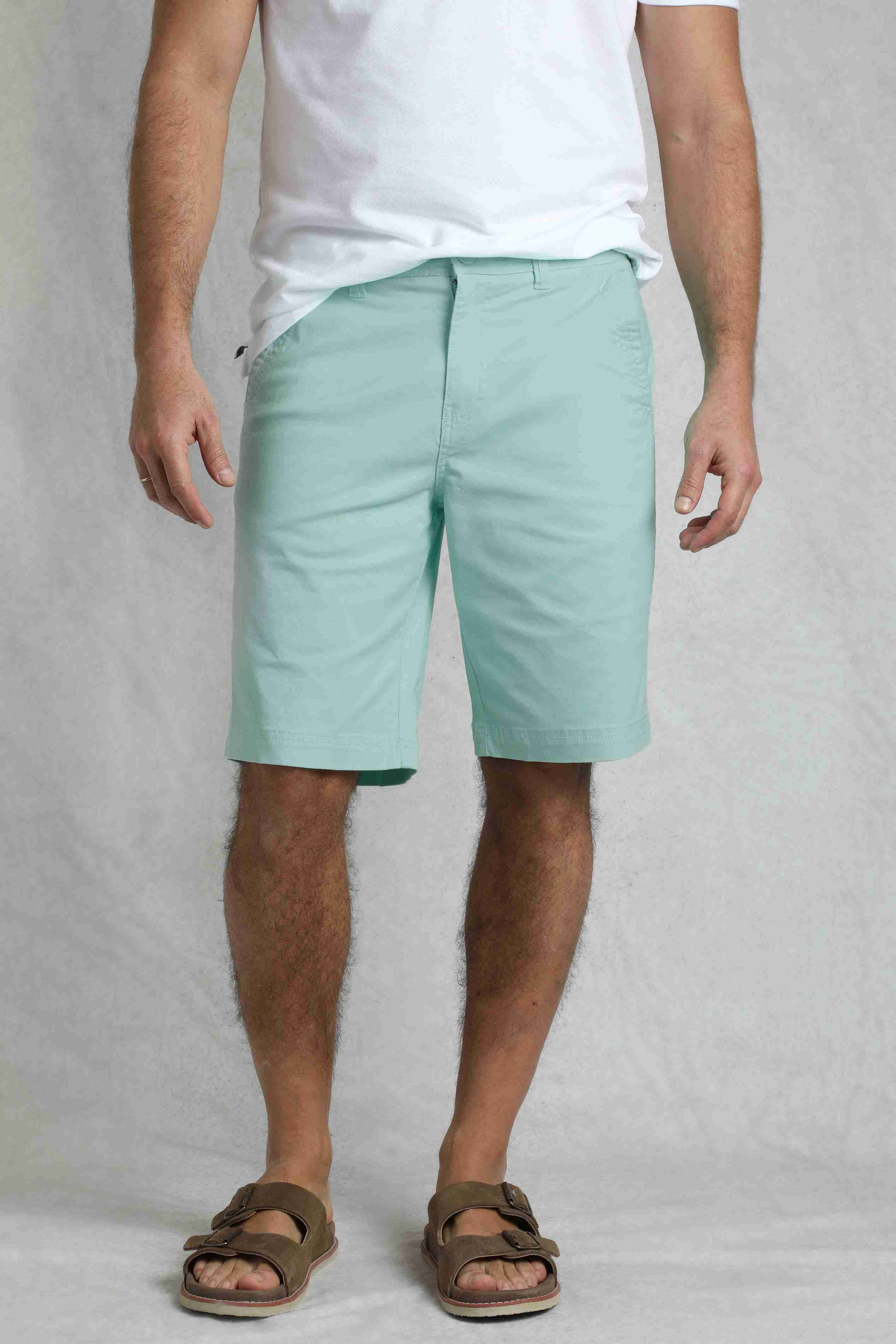 Rayburn Cotton Flat Front Shorts Seafoam