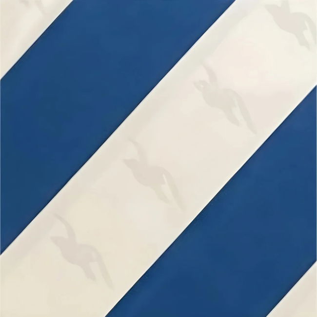 Brighton Football Club Sophisticated Home Soccer Jersey