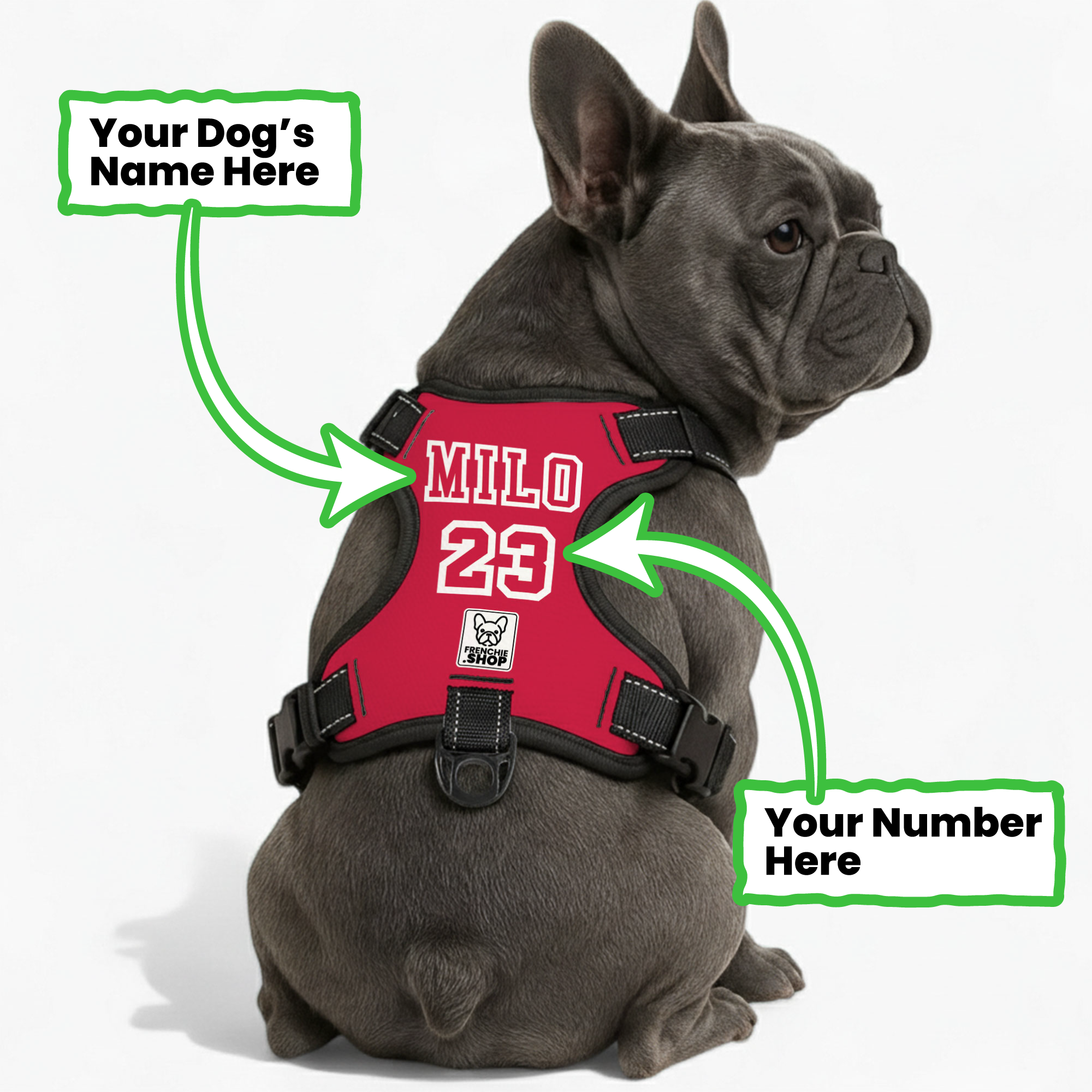 - Warm Personalized No-pull French Bulldog Dog Harness Dog Supplies