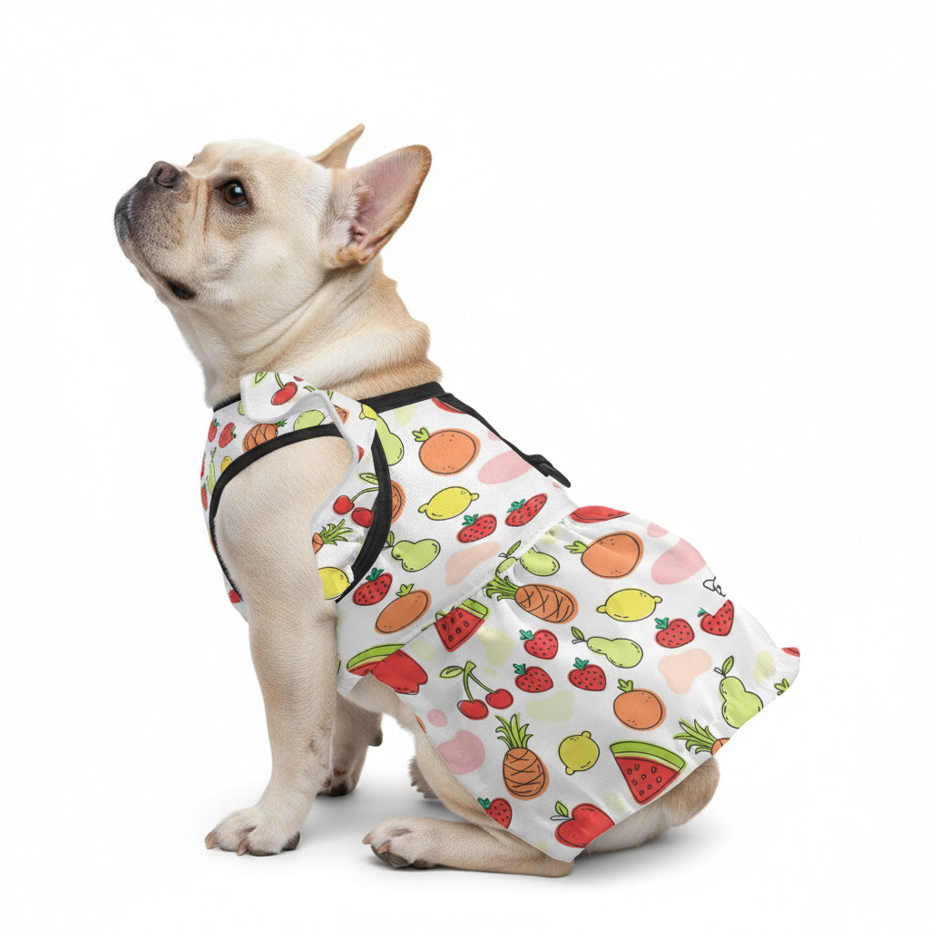 French Bulldog Dresses For Females Pet Gear | Non-slip Design