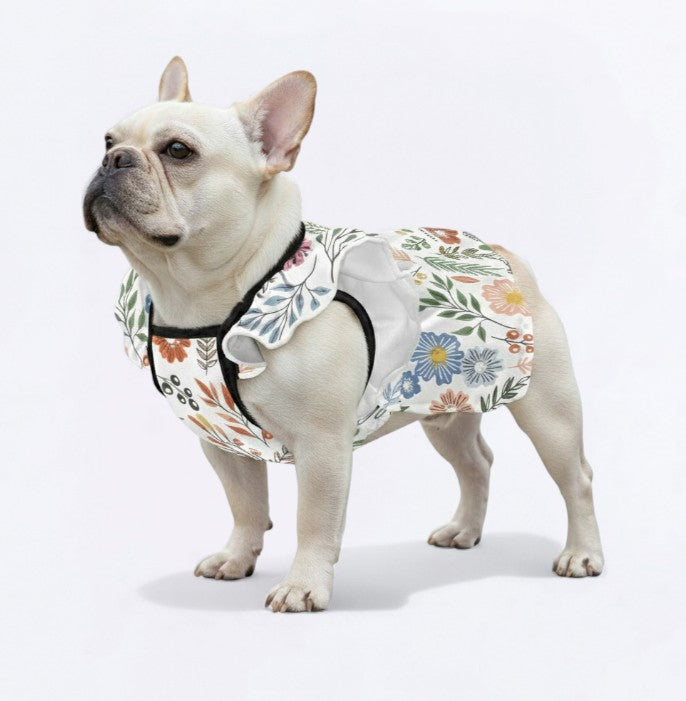 Minimal-Aesthetic Freya - French Bulldog Dresses For Females for Pet