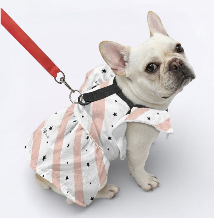 High-Quality Zara - French Bulldog Dresses For Females for Everyday Wear