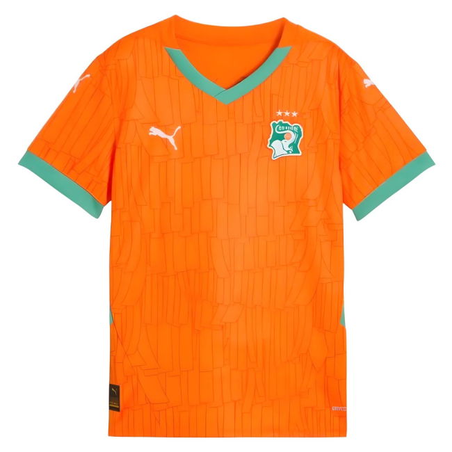 Ivory Coast Classic Home Jersey 2024-2025 #29