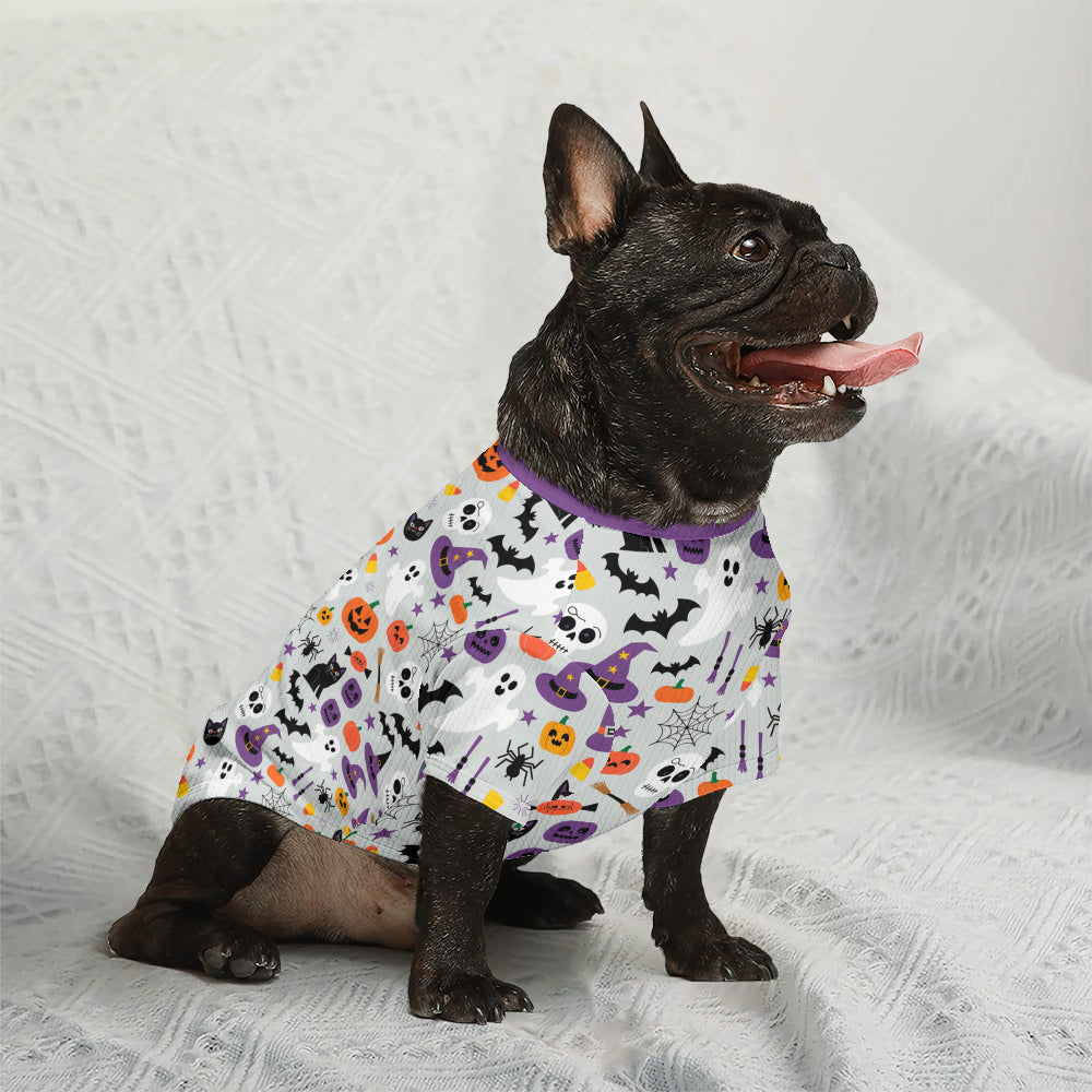 Jackie - Wool Sweater for Frenchies