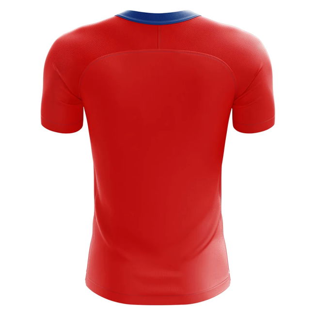 Premium 2025-2026 Czech Republic Jersey Replica Cup Jersey Player