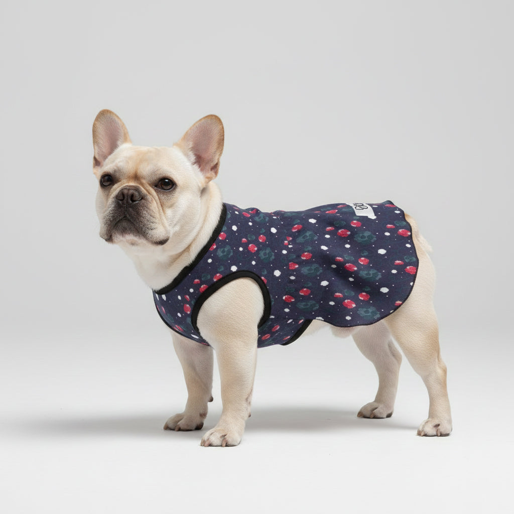 Frenchie-Fan Bella - French Bulldog Dresses For Females for Fashion