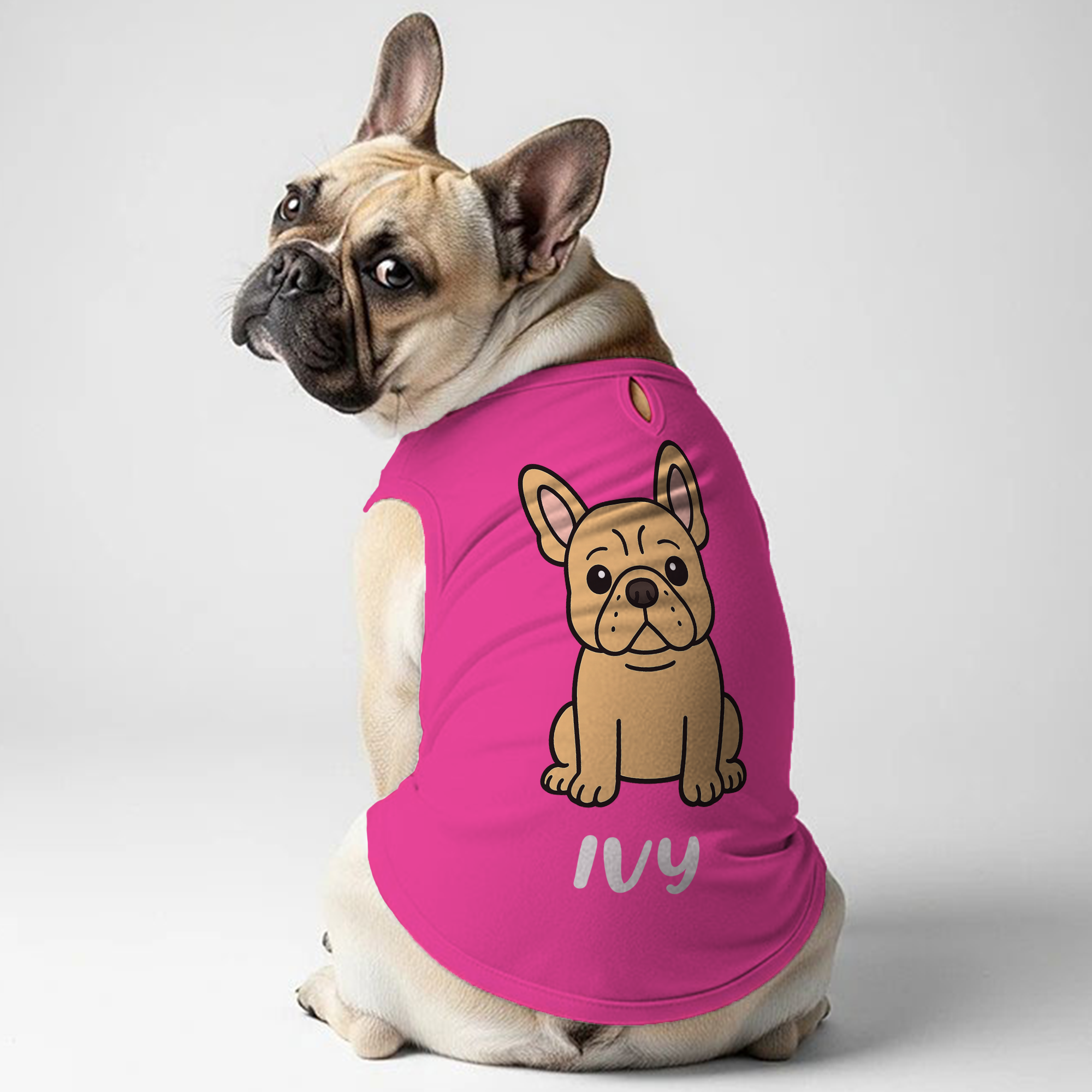 TEDDY - Personalized Frenchie Shirt | Custom Dog T-Shirt for French Bulldogs