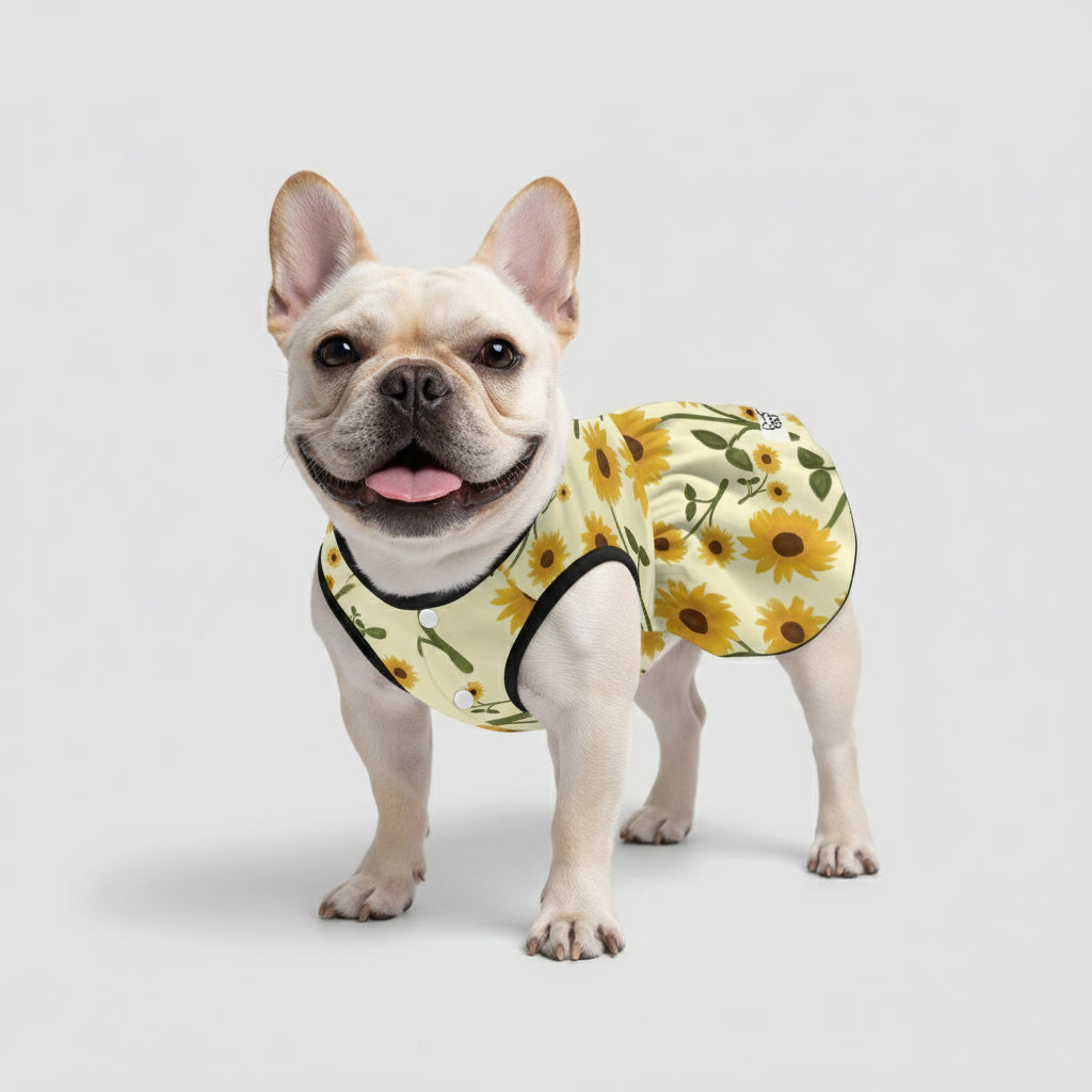 Premium Aurora- French Bulldog Dresses For Females for Fashion Lovers