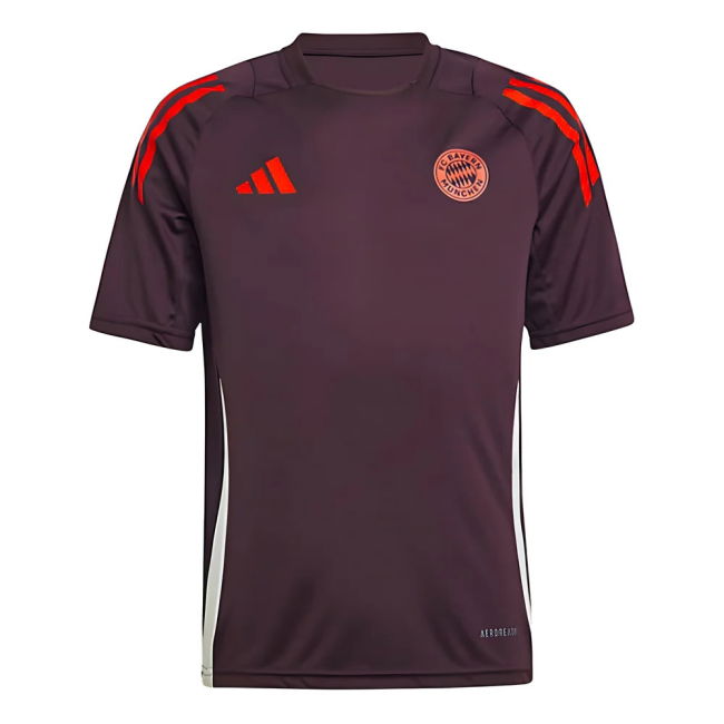 Bayern Munich Stylish Jersey 2024-2025