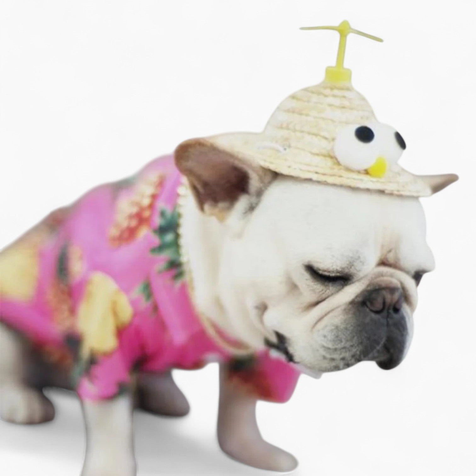 Hat – Cute Propeller Summer Dog Cap Pet Owner Apparel | Unique Design