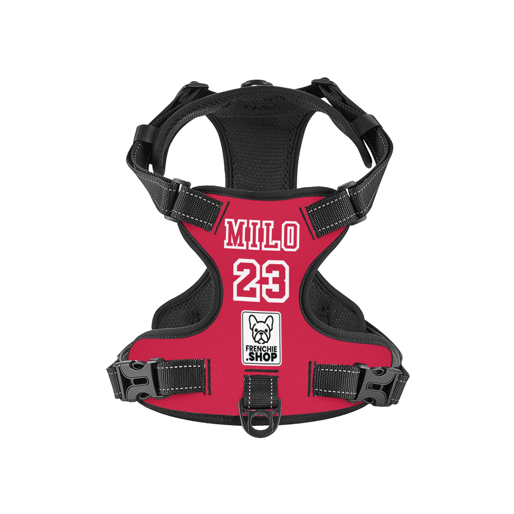 Breed-Designed Magnolia - Personalized No-pull French Bulldog Dog Har...