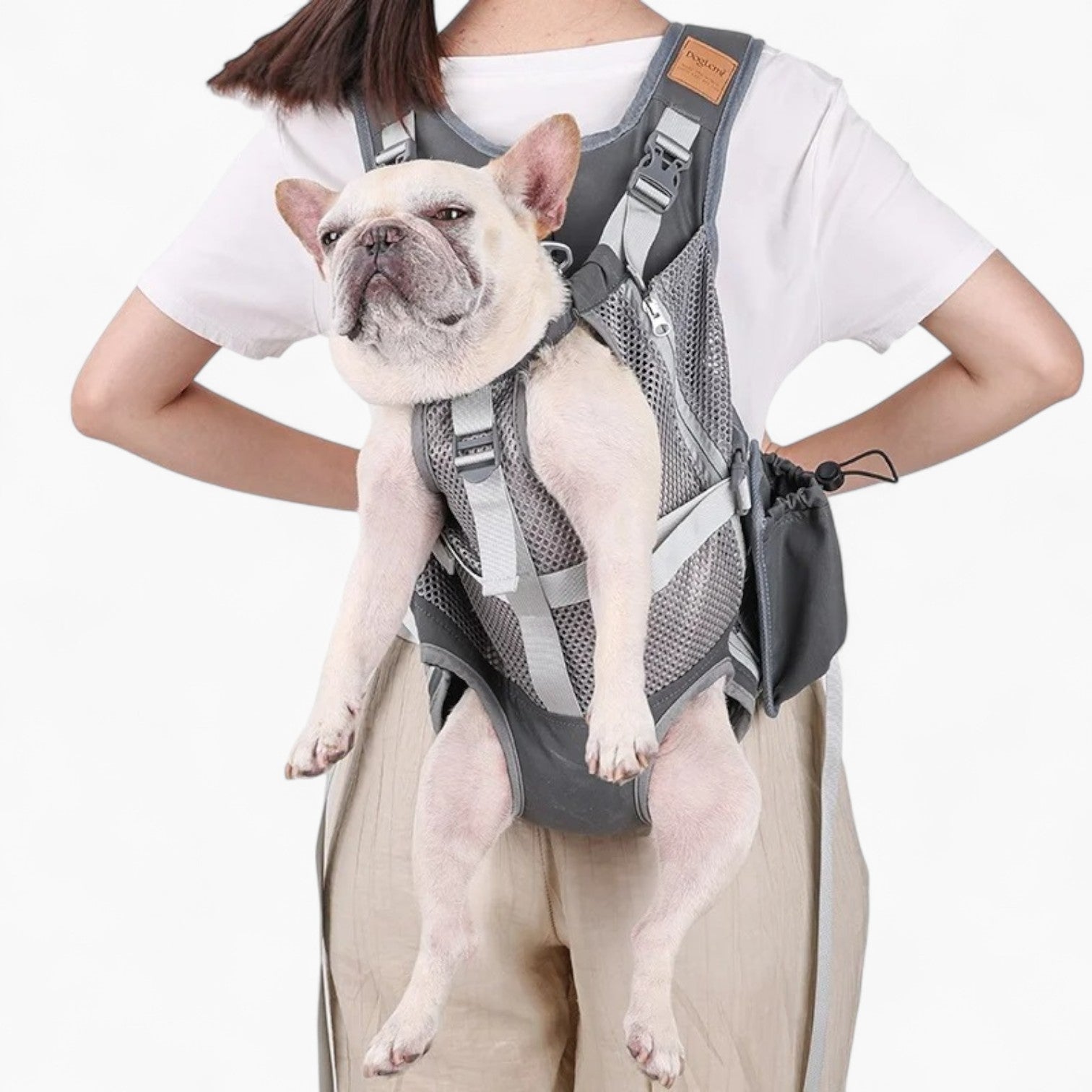 Fashion-Forward Pawporter French Bulldog Carrier Backpack – Travel An...