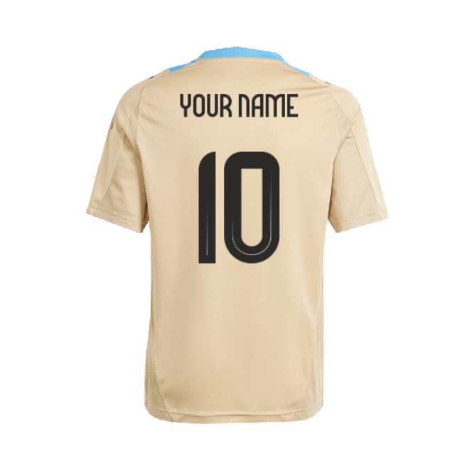 Cup 2024-2025 Argentina Training Jersey (Hazy Beige) (Your Name)