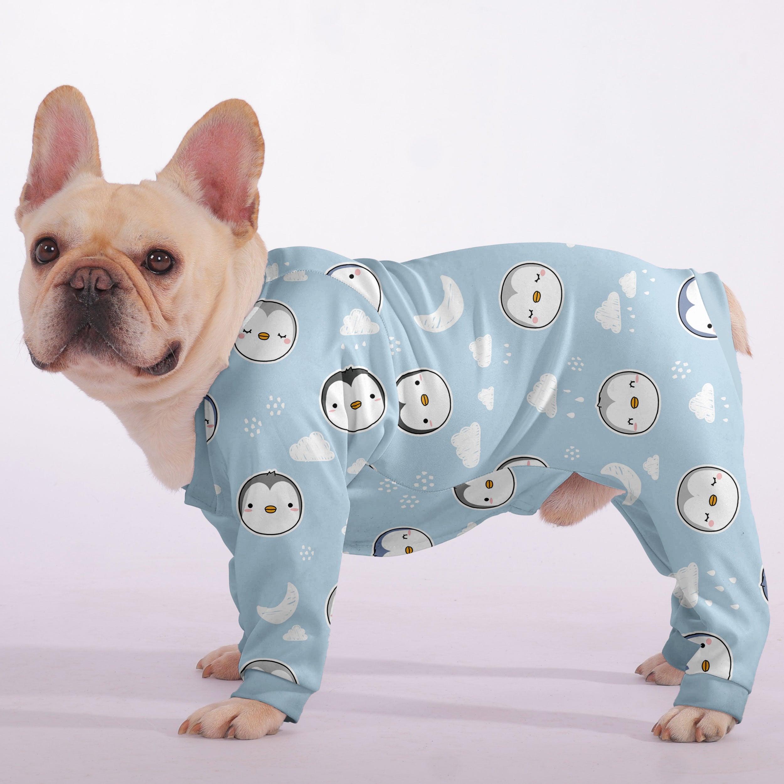 LOY - Frenchie Pajama