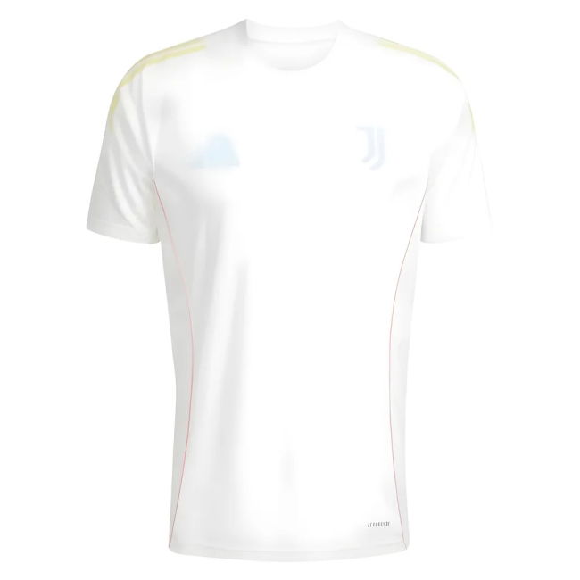 Juventus 2025-2026 Training kit - quick-dry and vintage v4.948
