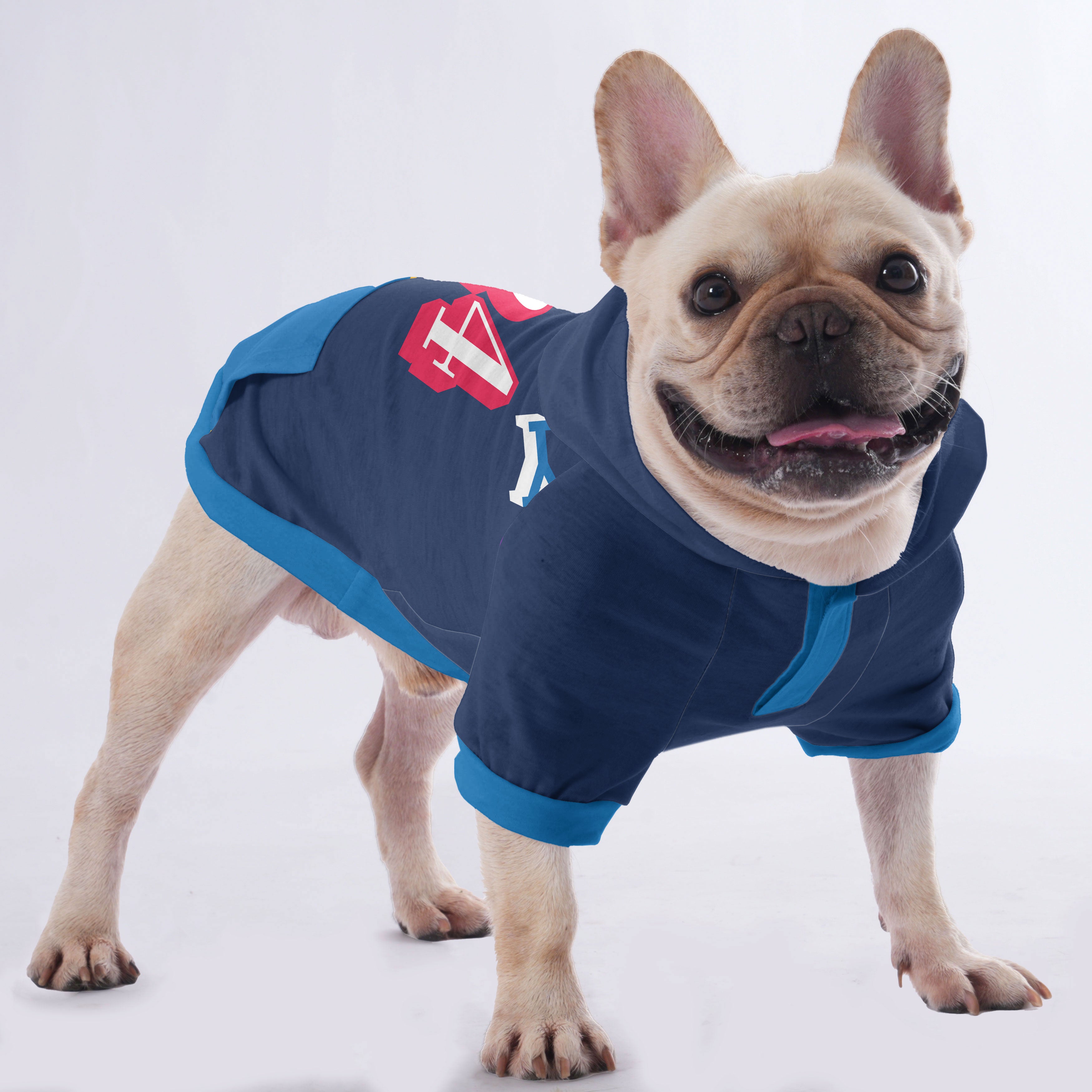 Customizable French Bulldog Hoodies with Your Pet’s Name & Number | Frenchie Shop Original