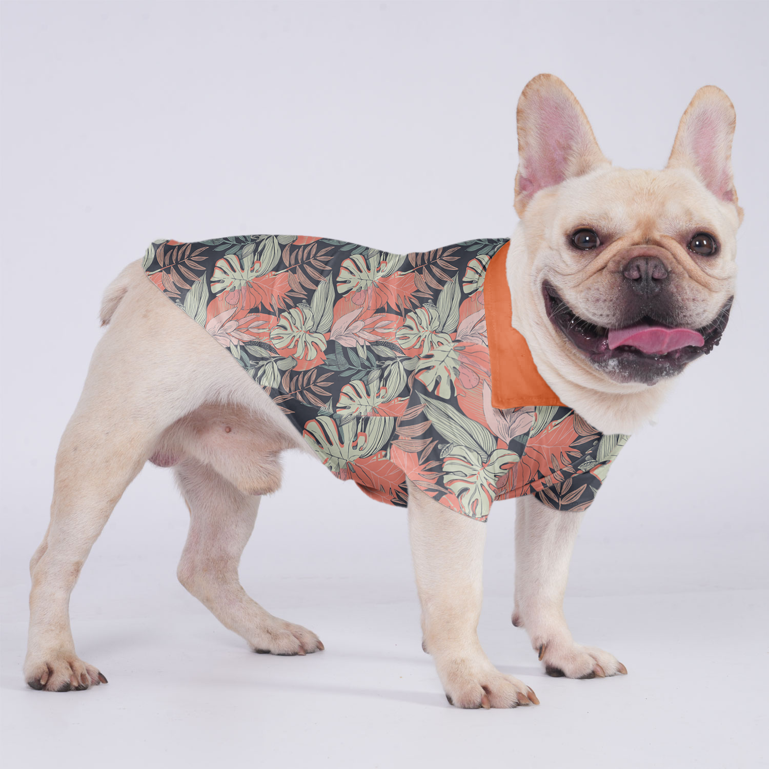 Apollo - Comfy Hawaiian Shirt For Frenchies Frenchie Themed Wear