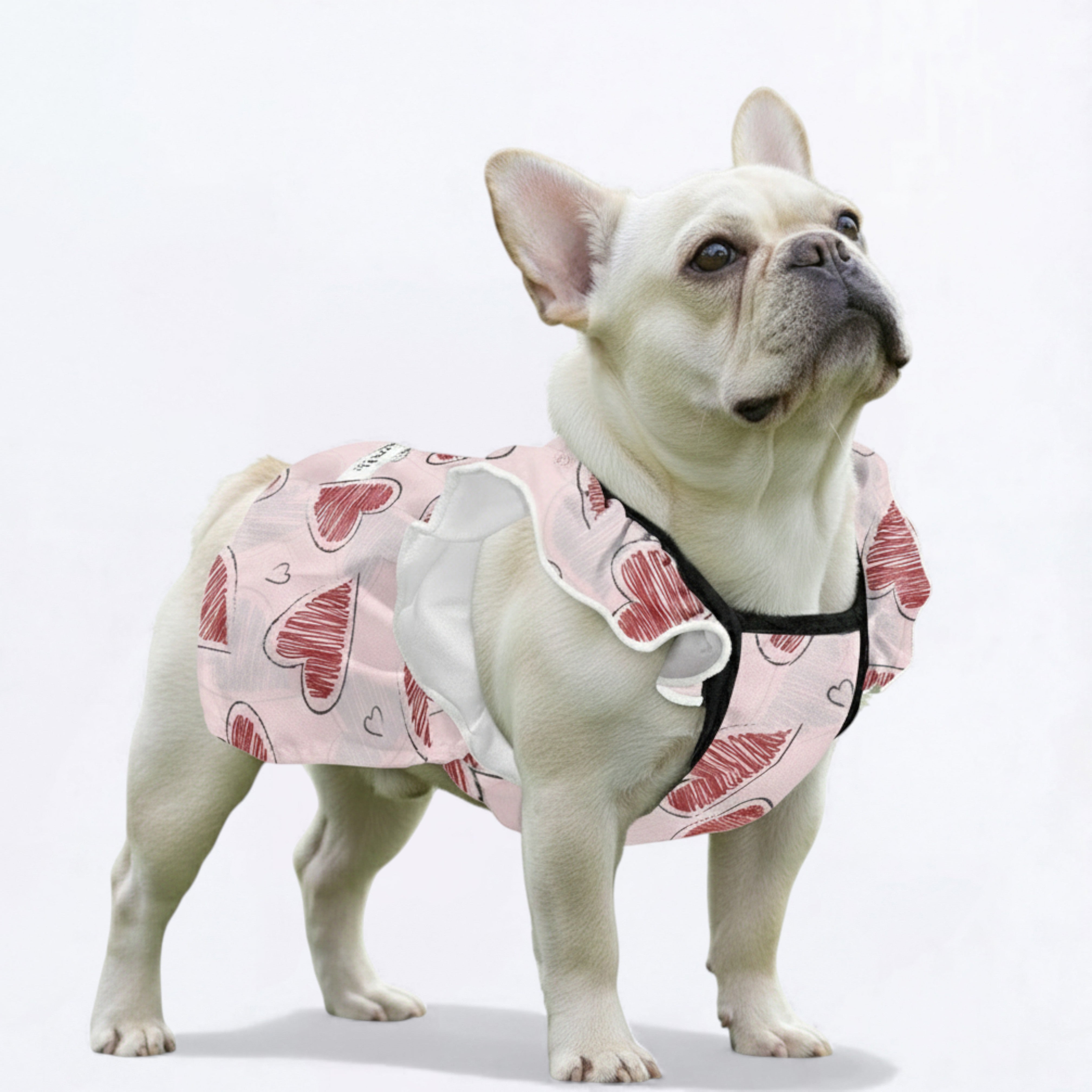 French Bulldog Dresses For Females Indoor Use | Non-slip Design
