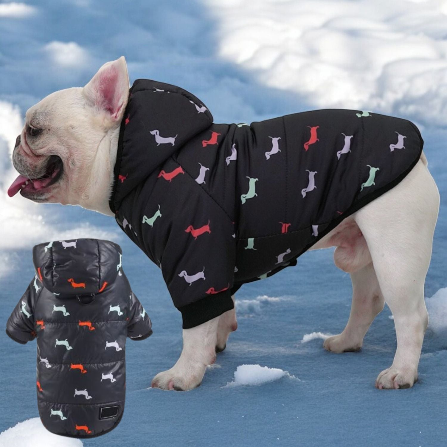 Luxurious Hooded Frenchie Coat