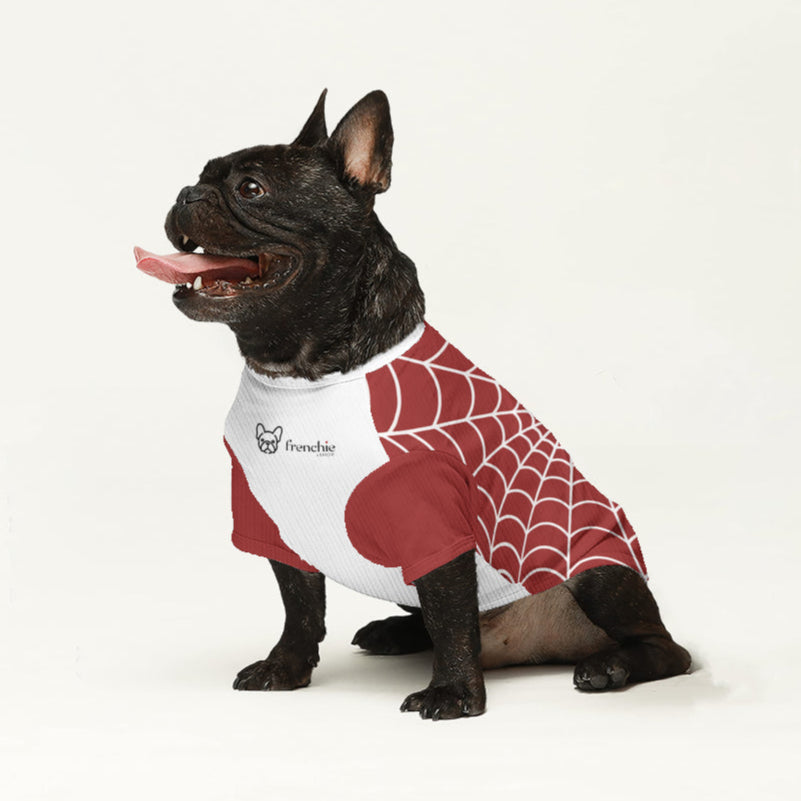 French Bulldog Castor Wool Sweater For Frenchies Warm Cold Weather Gear
