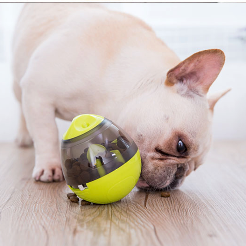 Bulldog Treat Ball Interactive Food Egg (ws68) For French Bulldogs