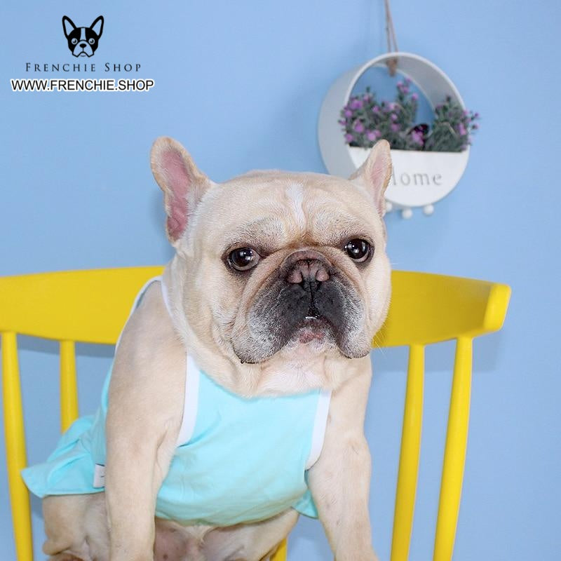 Blue Skirt Outfit Frenchie Summer Dress (W307)